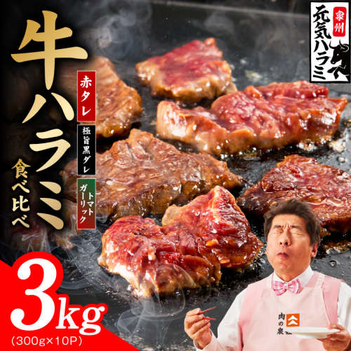 【3種食べ比べ】牛ハラミ肉 3kg（300g×10P）【牛肉 はらみ 小分け 焼肉 お弁当 BBQ 訳あり ワケアリ わけあり サイズ不揃い 規格外 TVで話題】 030D280 2659154 - 大阪府泉佐野市