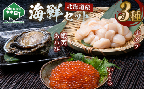 北海道産 海鮮三種 特選セット （ホタテ貝柱7S 250g・鱒いくら200g・蝦夷あわび1枚） ＜ワイエスフーズ＞ 森町 海産物 魚貝類 ふるさと納税 北海道 mr1-1331 2659159 - 北海道森町