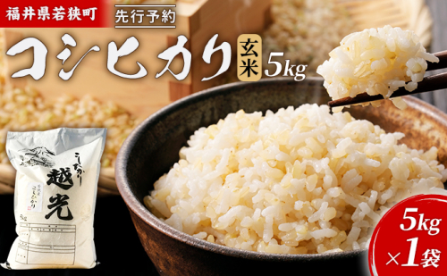 【1月お届け】令和8年産 若狭町コシヒカリ玄米5kg 米 お米 こしひかり 福井県 2659187 - 福井県若狭町