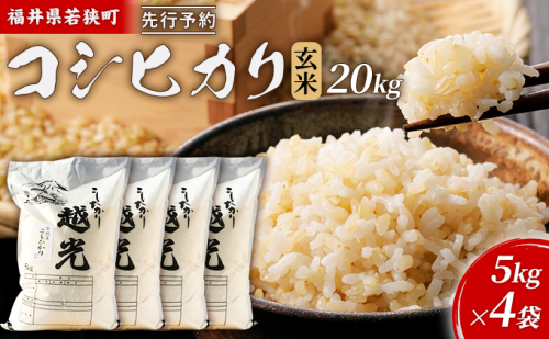 【12月お届け】令和8年産 若狭町コシヒカリ玄米20kg 米 お米 こしひかり 福井県 2659198 - 福井県若狭町