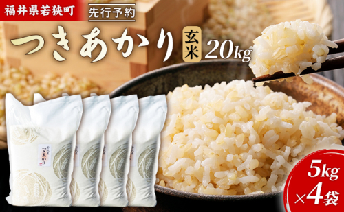【10月お届け】令和8年産 若狭町ツキアカリ玄米20kg 米 お米 つきあかり 福井県 2659220 - 福井県若狭町