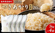 【10月お届け】令和8年産 若狭町ツキアカリ玄米20kg 米 お米 つきあかり 福井県