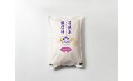 【2月お届け】令和8年産 若狭町ヒトメボレ10kg 米 お米 ひとめぼれ 福井県