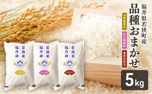 品種おまかせ 5kg（つきあかり、ひとめぼれ、あきさかり）　お米 米 白米 精米 ご飯 おにぎり お弁当 和食 主食 2659274 - 福井県若狭町