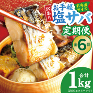 【定期便】塩さば 1kg（250g×4P）全6回【お弁当サイズ 生活応援 サバ 小分け 青魚 塩鯖 塩サバ 切身 塩焼き 焼きさば 焼き鯖 人気 冷凍 冷凍食品 おかず 惣菜 訳あり サイズ不揃い】 099Z577