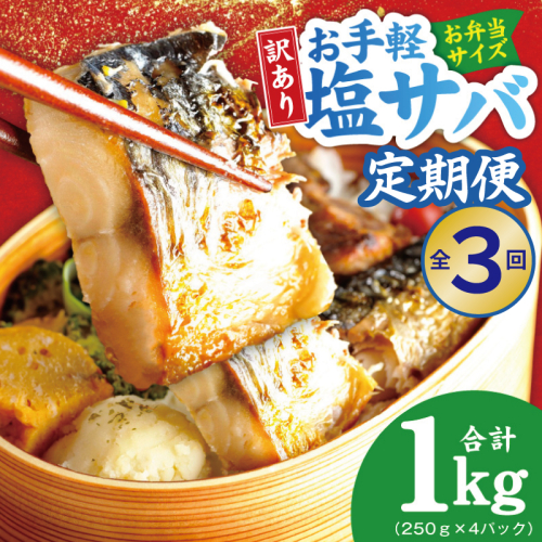 【定期便】塩さば 1kg（250g×4P）全3回【お弁当サイズ 生活応援 サバ 小分け 青魚 塩鯖 塩サバ 切身 塩焼き 焼きさば 焼き鯖 人気 冷凍 冷凍食品 おかず 惣菜 訳あり サイズ不揃い】 099Z576 2659336 - 大阪府泉佐野市