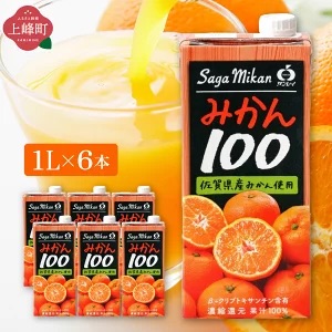 【お中元】みかん100 1L×6本【C-706-RN(C)】 2659425 - 佐賀県上峰町