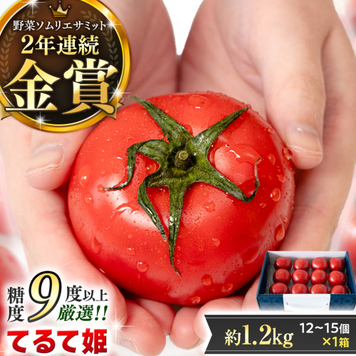 《 2027年 収穫分 》3～4月配送 スーパーフルーツトマト てるて姫 中箱 約1.2kg × 1箱 【12〜15玉/1箱】 糖度9度以上 定期便 先行予約 フルーツトマト ブランドトマト 野菜 ギフト 贈答 青空レストラン アド街ック天国 グッドモーニング 黄金のワンスプーン 昼めし旅 [BC033sa0304] 2659427 - 茨城県桜川市