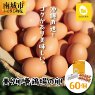 卵の黄身が掴めるほどの新鮮さ 美ら卵養鶏場の卵 60個【順次配送】   I  たまご タマゴ  卵 美ら卵 養鶏場 美ら卵 新鮮  養鶏場  60個   沖縄県 南城市 ふるさと納税 有限会社 美ら卵養鶏場