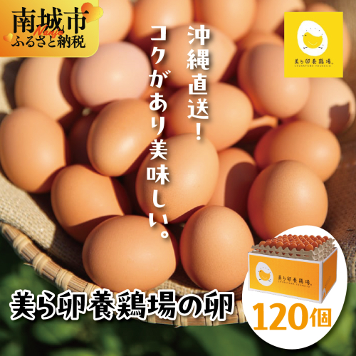 卵の黄身が掴めるほどの新鮮さ 美ら卵養鶏場の卵 120個【順次配送】   I  たまご タマゴ  卵 美ら卵 養鶏場 美ら卵 新鮮  養鶏場  120個   沖縄県 南城市 ふるさと納税 有限会社 美ら卵養鶏場 2659433 - 沖縄県南城市