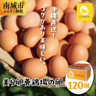 卵の黄身が掴めるほどの新鮮さ 美ら卵養鶏場の卵 120個【順次配送】   I  たまご タマゴ  卵 美ら卵 養鶏場 美ら卵 新鮮  養鶏場  120個   沖縄県 南城市 ふるさと納税 有限会社 美ら卵養鶏場