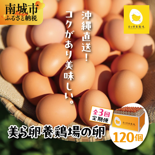 卵の黄身が掴めるほどの新鮮さ 美ら卵養鶏場の卵 120個【3ヶ月定期便】   I  たまご タマゴ  卵 美ら卵 養鶏場 美ら卵 新鮮  養鶏場  定期便   120個   沖縄県 南城市 ふるさと納税 有限会社 美ら卵養鶏場 2659436 - 沖縄県南城市