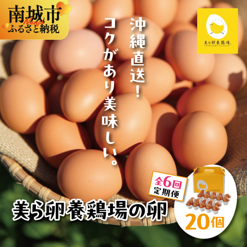 卵の黄身が掴めるほどの新鮮さ 美ら卵養鶏場の卵 20個【6ヶ月定期便】   I  たまご タマゴ  卵 美ら卵 養鶏場 美ら卵 新鮮  養鶏場  定期便   20個   沖縄県 南城市 ふるさと納税 有限会社 美ら卵養鶏場 2659437 - 沖縄県南城市