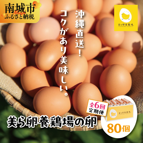 卵の黄身が掴めるほどの新鮮さ 美ら卵養鶏場の卵 80個【6ヶ月定期便】   I  たまご タマゴ  卵 美ら卵 養鶏場 美ら卵 新鮮  養鶏場  定期便   80個   沖縄県 南城市 ふるさと納税 有限会社 美ら卵養鶏場 2659440 - 沖縄県南城市