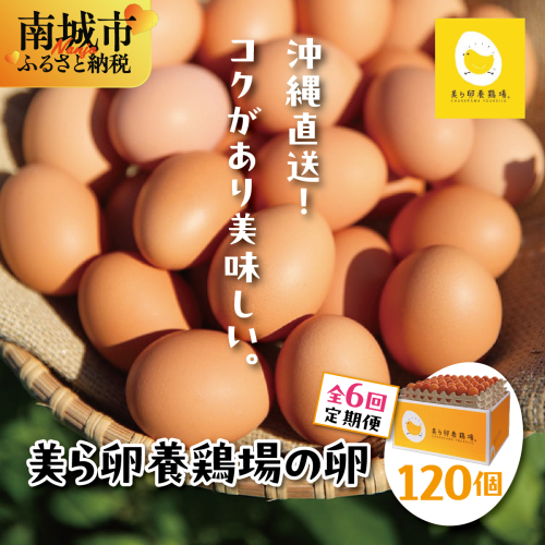 卵の黄身が掴めるほどの新鮮さ 美ら卵養鶏場の卵 120個【6ヶ月定期便】   I  たまご タマゴ  卵 美ら卵 養鶏場 美ら卵 新鮮  養鶏場  定期便   120個   沖縄県 南城市 ふるさと納税 有限会社 美ら卵養鶏場 2659441 - 沖縄県南城市