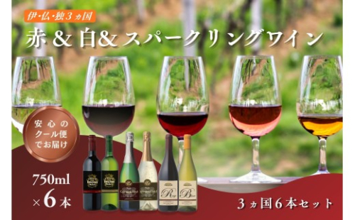 W104 伊・仏・独 6本セット【C8-024】 2659467 - 福岡県飯塚市