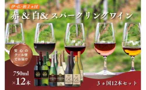 W105 伊・仏・独 12本セット【E-109】 2659469 - 福岡県飯塚市