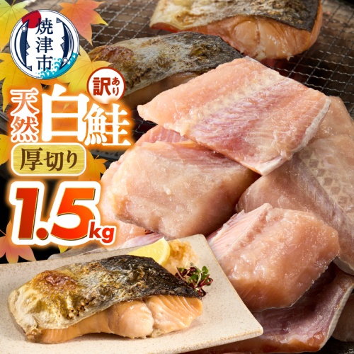 a10-1311　厚切りカット！天然 白鮭 甘口 切身 約1.5kg 2659483 - 静岡県焼津市
