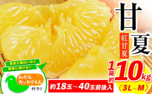 【2026年度先行予約分】みかん 好き必見 甘夏 熊本県産(津奈木町産含む) 甘夏 約 10kg (約18～40玉前後) 柑橘 大玉 ミカン《2月中旬-4月末頃出荷》 フルーツ 旬 甘夏みかん 果物 訳あり 定期 でない 2659524 - 熊本県津奈木町