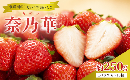 先行予約 いちご 完熟 奈乃華 約250g(250g×1パック ) 佃農園のこだわり フルーツ 果物 旬 産地直送 旬のフルーツ 旬の果物 お取り寄せ デザート イチゴ 苺 冷蔵 奈良 奈良県 大和郡山市 BN001 2659595 - 奈良県大和郡山市