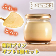 銀河プリン 5個セット