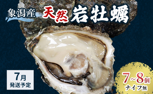 象潟産 天然岩牡蠣 7～8個 ナイフ無【 牡蠣 夏牡蠣 かき 象潟 生食可 魚介類 海鮮 海産物 海の幸 】 さとう鮮魚店 2659671 - 秋田県にかほ市