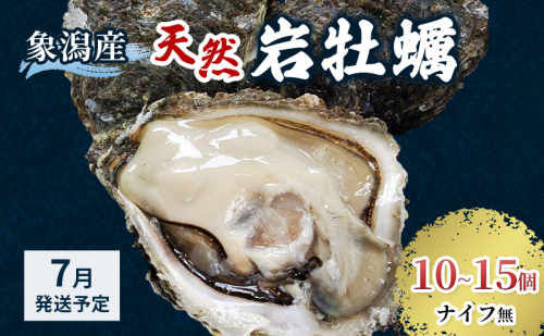 象潟産 天然岩牡蠣 10～15個 ナイフ無【 牡蠣 夏牡蠣 かき 象潟 生食可 魚介類 海鮮 海産物 海の幸 】 さとう鮮魚店 2659672 - 秋田県にかほ市