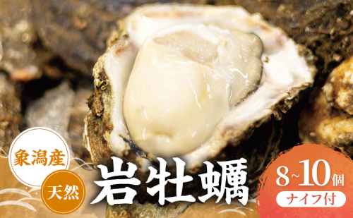 【先行予約 7月上旬～下旬発送予定】象潟産　天然岩牡蠣 8～10個 ナイフ付【牡蠣 夏牡蠣 かき 象潟 生食可 魚介類 海鮮　海産物 海の幸】　 2659673 - 秋田県にかほ市