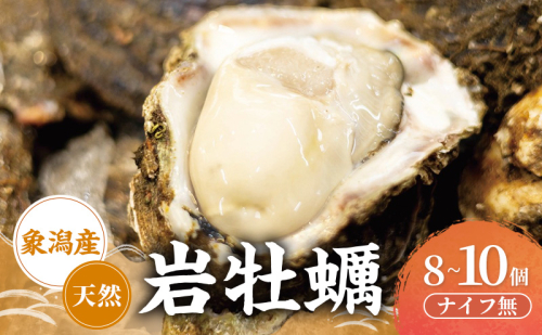 【先行予約 7月上旬～下旬発送予定】象潟産 天然岩牡蠣 8～10個 ナイフ無【牡蠣 夏牡蠣 かき 象潟 生食可 魚介類 海鮮　海産物 海の幸】　 2659674 - 秋田県にかほ市