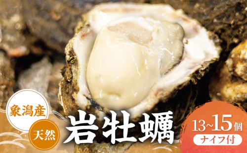【先行予約 7月上旬～下旬発送予定】象潟産 天然岩牡蠣 13～15個 ナイフ付【牡蠣 夏牡蠣 かき 象潟 生食可 魚介類 海鮮　海産物 海の幸】　 2659675 - 秋田県にかほ市