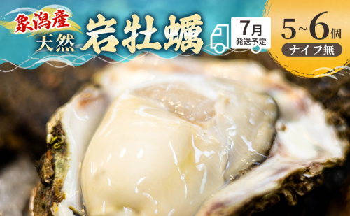 象潟産 天然岩牡蠣 5～6個 ナイフ無【 牡蠣 夏牡蠣 かき 象潟 生食可 魚介類 海鮮 海産物 海の幸 】 佐藤鮮魚店 2659680 - 秋田県にかほ市