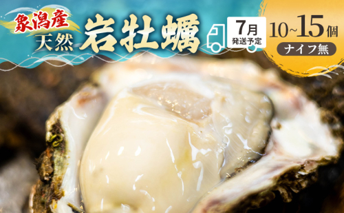象潟産 天然岩牡蠣 10～12個 ナイフ無【 牡蠣 夏牡蠣 かき 象潟 生食可 魚介類 海鮮 海産物 海の幸 】 佐藤鮮魚店 2659682 - 秋田県にかほ市