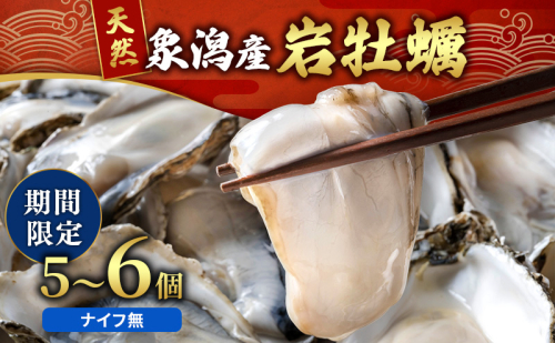 象潟産 天然岩牡蠣 5～6個 ナイフ無【牡蠣 夏牡蠣 かき 象潟 生食可 魚介類 海鮮 海産物 海の幸】　みずしまや 2659686 - 秋田県にかほ市