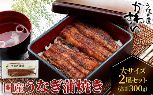 国産うなぎ  蒲焼き 大サイズ 2尾セット(合計300g) タレ付き 国産 うなぎ ウナギ 鰻 蒲焼 かば焼き 2尾 セット 惣菜 冷凍 2659806 - 香川県東かがわ市