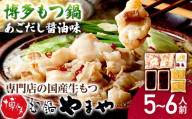 もつ鍋 博多もつ鍋やまや もつ鍋セット 5～6人前 やまや 博多 あごだし 醤油 国産 牛もつ ちゃんぽん麺付き お取り寄せ グルメ ギフト 鍋セット 本場 お取り寄せ ご当地 福岡