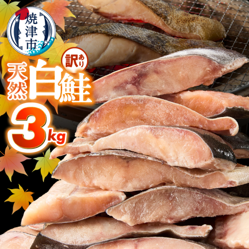 a20-488　訳あり！ 天然 白鮭 甘口 切身 約3kg 便利なジッパーバック入り 2659927 - 静岡県焼津市