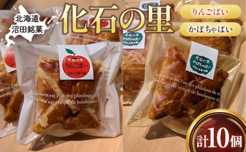 沼田銘菓 化石の里 10個入 n-0202 2659960 - 北海道沼田町