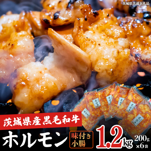 【茨城県産】 黒毛和牛 味付き 小腸 1.2kg （ 200g ×6パック ） (茨城県共通返礼品) 国産 牛肉 肉 お肉 ホルモン もつ 和牛 小腸 ホルモン 味付き 味付ホルモン タレ漬け 焼肉 BBQ 小分け 冷凍 料理 簡単 2660036 - 茨城県牛久市