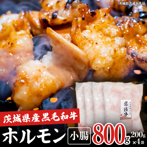 【茨城県産】 黒毛和牛 もつ鍋 焼肉用 小腸 800g（200g×4パック） (茨城県共通返礼品) 国産 牛肉 肉 お肉 ホルモン もつ 和牛 小腸 ホルモン 味付き 味付ホルモン タレ漬け 焼肉 BBQ 小分け 冷凍 料理 簡単 2660037 - 茨城県牛久市