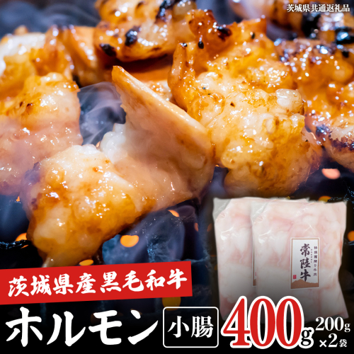 【茨城県産】 黒毛和牛 もつ鍋 焼肉用 小腸 400g（200g×2パック） (茨城県共通返礼品) 国産 牛肉 肉 お肉 ホルモン もつ 和牛 小腸 ホルモン 味付き 味付ホルモン タレ漬け 焼肉 BBQ 小分け 冷凍 料理 簡単 2660038 - 茨城県牛久市