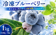 【先行予約】 大粒 ブルーベリー 1kg(500g×2) 冷凍 詰め合わせ 8月以降発送 完熟 果汁 甘 酸味 人気 果物類 ブルーベリー フルーツ 国産 産地直送 お取り寄せ 贈り物 岩手県 盛岡市 東北 岩手 盛岡 北田りんご園 kitada001