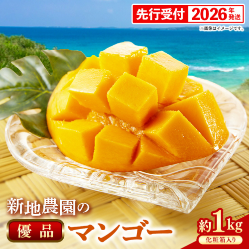 【化粧箱入り】【先行受付・2026年発送】新地農園 アップルマンゴー 優品 約1kg （2～3玉）- 産地直送 先行予約 沖縄県産 贈り物 ギフト 南国フルーツ 旬の味覚 オススメ 沖縄県 八重瀬町 2660223 - 沖縄県八重瀬町
