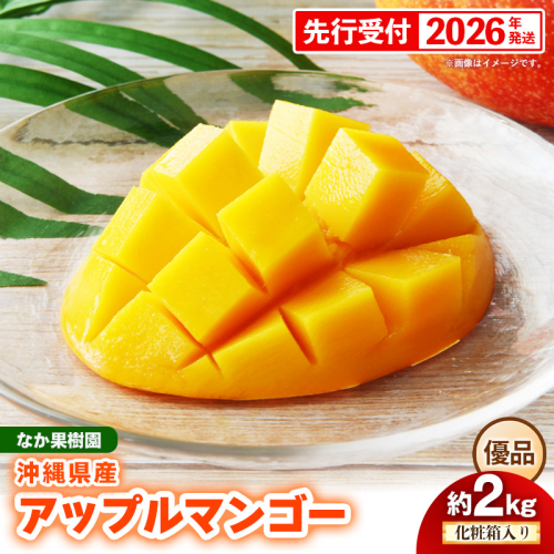 【化粧箱入り】【先行受付・2026年発送】なか果樹園 アップルマンゴー 優品 約2kg - 産地直送 先行予約 沖縄県産 贈り物 ギフト プレゼント 南国フルーツ 旬の味覚 オススメ 沖縄県 八重瀬町 2660269 - 沖縄県八重瀬町