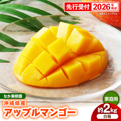 【先行受付】【2026年発送】なか果樹園 アップルマンゴー 家庭用 約2kg （白箱）- 産地直送 先行予約 沖縄県産 ご自宅用 南国フルーツ 旬の味覚 オススメ 沖縄県 八重瀬町 2660352 - 沖縄県八重瀬町