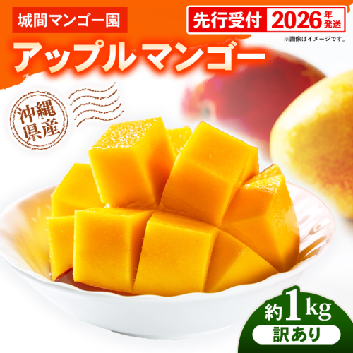 【先行受付】【2026年発送】城間マンゴー園のアップルマンゴー 訳あり 約1kg - 先行予約 沖縄県産 産地直送 南国フルーツ 旬の味覚 季節の果物 ご自宅用 訳アリ 家庭用 沖縄マンゴー 沖縄県 八重瀬町 2660355 - 沖縄県八重瀬町