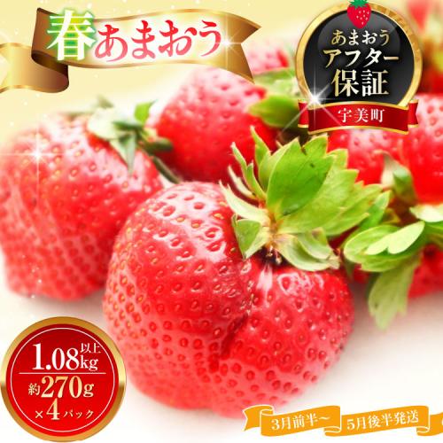 いちご あまおう 春あまおう 270g以上 4p 計1080以上 【3月前半〜5月後半発送】 期間限定 [ストロベリーファーム 福岡県 宇美町 um40azp070006] 先行予約 イチゴ 苺 フルーツ 果物 果実 甘い 小分け あまい 4パック 1kg 2660382 - 福岡県宇美町