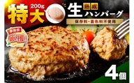【無添加】食べ応え抜群！ 生ハンバーグ 200g 4個【ふるさと納税3.0】【087D-090】
