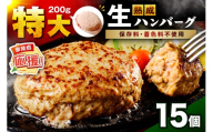【無添加】食べ応え抜群！ 生ハンバーグ 200g 15個【ふるさと納税3.0】【087C-061】