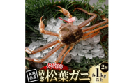 ＜先行予約＞鳥取県産 タグ付き 活松葉がに 1kg以上×2杯(中村商店)2027年1月末より順次発送【1692898】
