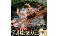 ＜先行予約＞鳥取県産 タグ付き 活 松葉がに 700g×3杯(中村商店)2027年1月末より順次発送【1692904】